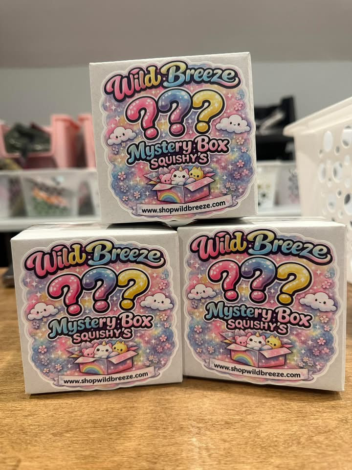 Mystery Squishy Box